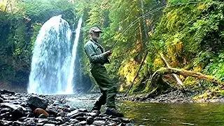Alaska Survival: Alone in the Fortress of the Bears