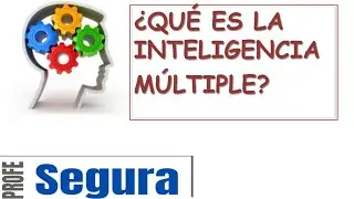 INTELIGENCIA M&Uacute;LTIPLE