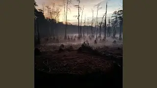 WHISPERS FROM A GHOST