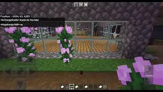 SurviNET - Work Logs 1/11/21