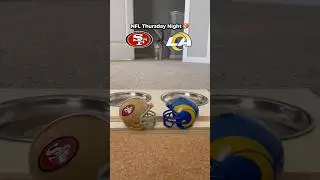 NFL Thursday Night 49ers vs Rams 🏈🐱
