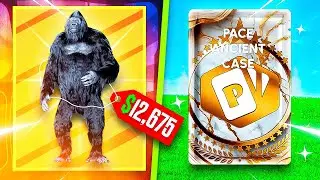 I PULLED 12K FROM THE COMMUNITY CASE!? (Packdraw Highrolling)