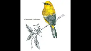 Watercolor Painting Tutorial, Yellow bird drawing/watercolour