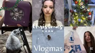 Vlog/Vlogmas: Fix Price распаковка + предновогодний влог🎄украшаем елку и дом к НГ ✨