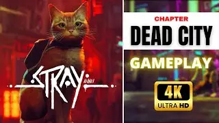 Stray Dead City 2 - Stray GamePlay No Commentary [Stray No Commentary]