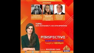 PERSPECTIVE | Pakistan's Climate Crisis: Smog, Sustainability and COP29 Imperatives | 10-11-2024