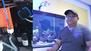 6 Months Update - Reef Tank 120gal @ 500L Malaysia - week 30