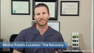 MPL The Recovery