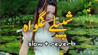 SHPELY GHAGAEWA pashto slowed reverb song 123