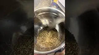 Vsteaming herbs#natura#vsteaming#herbsforhealth