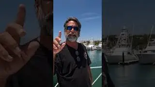How to Bow fish for Marlin (West Coast Method) #shorts #fishing