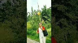 timro sundartako barman gare jasto xa🌼