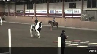 Irish cob Domino - learning to jump: Irish cob/tinker riding lesson