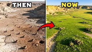 How Hundreds of Prairie Dogs Transformed Montana&rsquo;s Barren Plains Into Thriving Ecosystems
