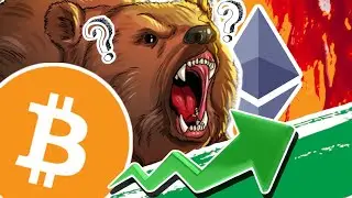 An&eacute;cdotas del Crypto Invierno y qu&eacute; no hacer en un bear market