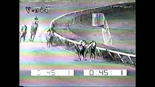 💢Carrera Com&uacute;n 2001 Valencia ANGELO KING 💢