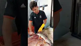 Why did the fish eggs fall into the trash? | Fish fillet