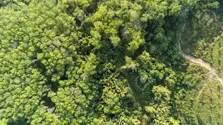 Drone /Halen Belgium/4K