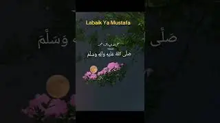Labaik Ya Mustafa 🍀 #viral #muslimcontent #youtubeshort #creative #fypシ #trend #edit #allah#madina
