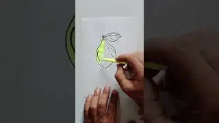 Simple Lemon Sketch|Easy Lemon Drawing Tutorial for Beginners 🍋|