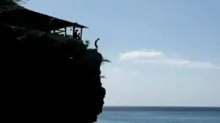 Max's Cliff Jump Playa Forti Westpunt Curacao