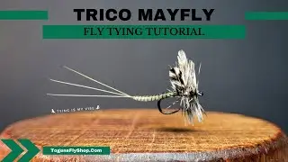 The Trico Mayfly