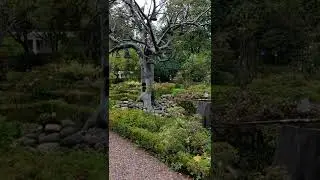 ISERHATSCHE -Heidekastell- Der Glockenbaum