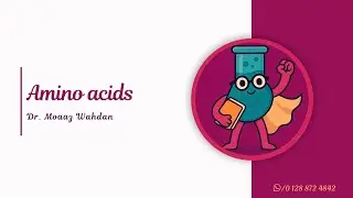 Amino Acids & Proteins (1) | MTI جامعة 
