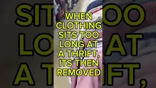 Comment if your local thrift stores are as full as mine 😳