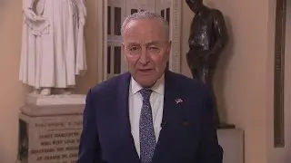 Chuck Schumer postpones book tour