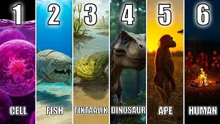 The Entire Journey of Life on Earth to Fall Asleep To