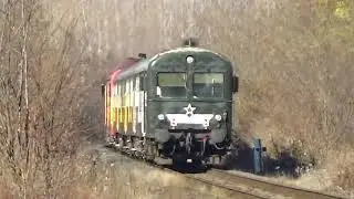 Csörgős ingák nyomában 8