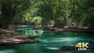 Peaceful Places on Earth 🌿 | Most Relaxing & Calming Destinations in the World (4K Nature)