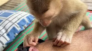 Zueii Monkey Grooming Removal My Thigh