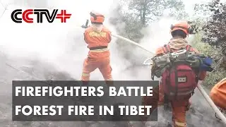 Firefighters Continue to Battle Massive Forest Fire in Tibet