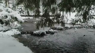 10 Hours Winter Forest Stream for Sleep, Relaxation & Deep Focus | Snowy Nature 4K