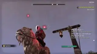 ESO Holiday Festival