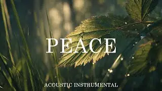 Deep Focus Guitar: Relaxing Background Music for Studying, Working & Anxiety Relief