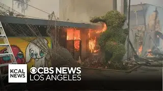 The Bunny Museum in Altadena burns to the ground amid the Eaton Fire
