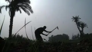 Egypt farmers fear water supply threat from Ethiopia Dam
