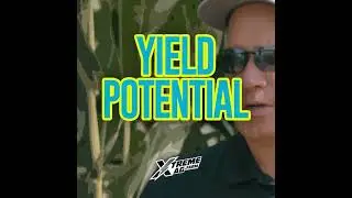 What is The Maximum Attainable Yield on Your Farm?