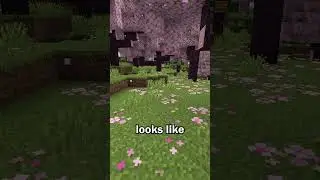 New Cherry Wood in Minecraft 1.20