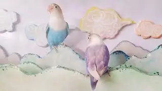 神仙眷侣