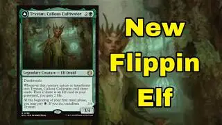 ElfIng Around in the Graveyard - Trystan Callous Cultivator EDH Commander Deck Tech
