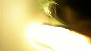 Carbon Based Lifeforms & Solar Fields - Oxygen