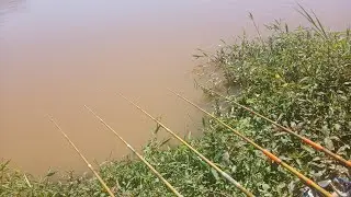 A tarde falou baixo… mas a pescaria respondeu forte.