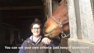 Clicker training food aggressive Horse To Not Bite Nip