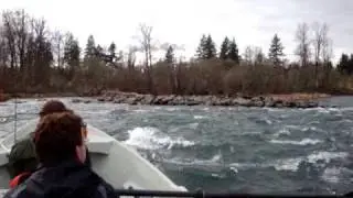 McKenzie River - Hayden Rapids in a Drift Boat