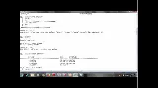 SQL PLSQL Online Training   Video 1