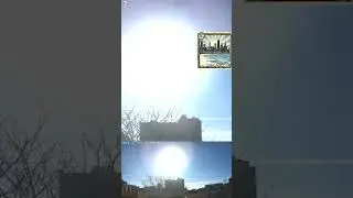 Chicago street sound samples - small dog barking, 